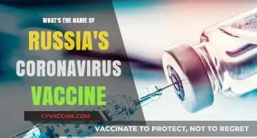 Russia's COVID-19 Vaccine: Unveiling the Name and Its Global Impact