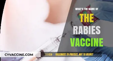 Understanding Rabies Prevention: The Essential Vaccine Name Revealed