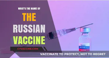 Discovering Russia's COVID-19 Vaccine: What's the Name and Its Impact