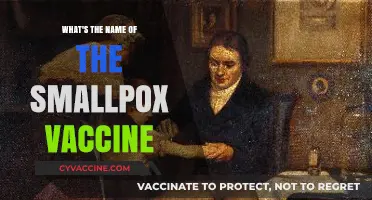 Unveiling the Smallpox Vaccine: Its Name, History, and Impact
