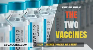 Unveiling the Names: Two Key Vaccines Transforming Global Health Today