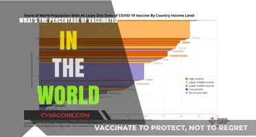 Global Vaccination Rates: Tracking Worldwide COVID-19 Immunization Progress