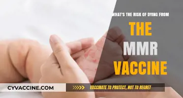 MMR Vaccine Safety: Debunking Myths About Fatal Risks