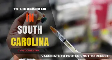 South Carolina's Vaccination Rate: Current Stats and Trends Revealed