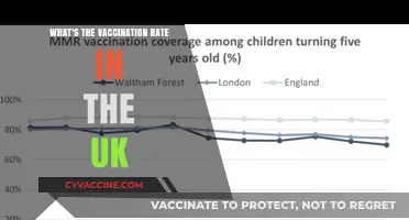 UK Vaccination Rates: Current Progress and Population Coverage Insights