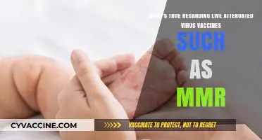 Live Attenuated Virus Vaccines: Unveiling the Truth About MMR Safety