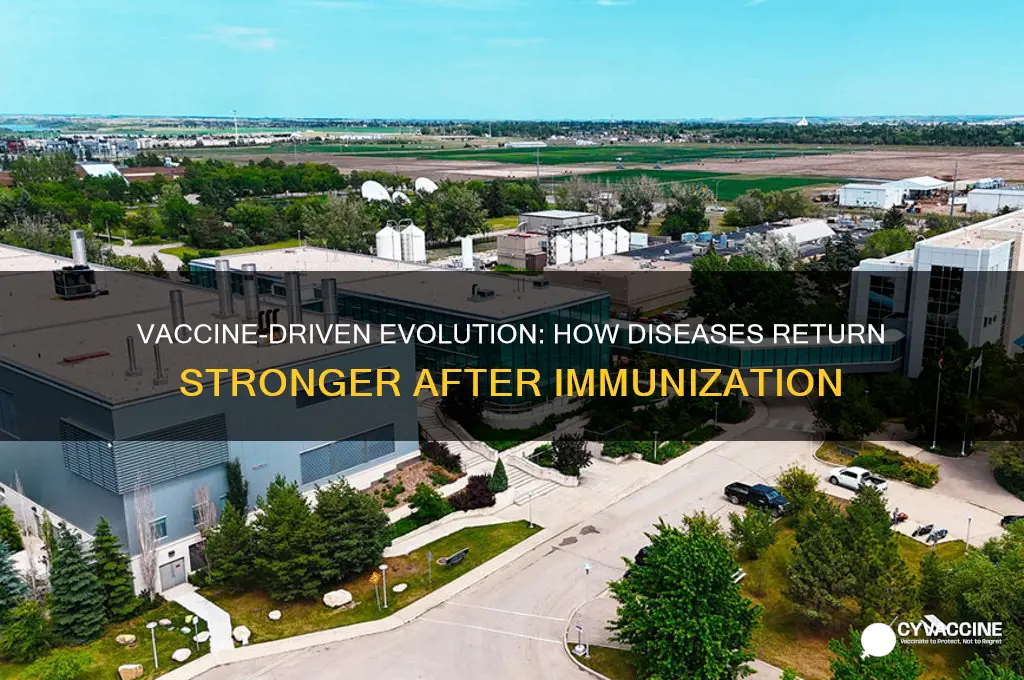when a decease comes back stronger due to vaccination
