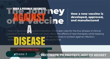 Vaccinated and Protected: Understanding Immunity After Disease Vaccination