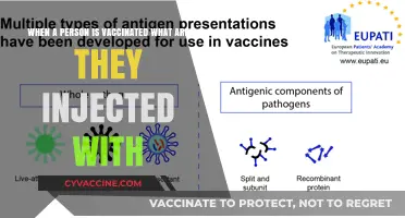 Understanding Vaccines: What’s Actually Injected During Immunization?