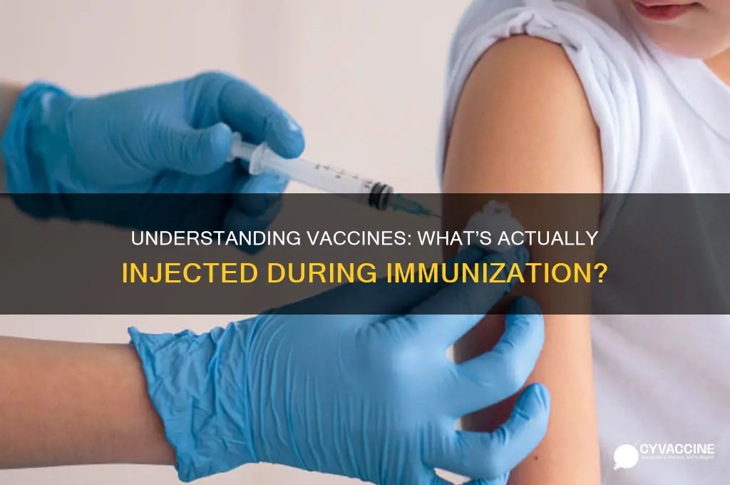 when a person is vaccinated what are they injected with