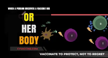 How Vaccines Trigger Immune Response in Your Body