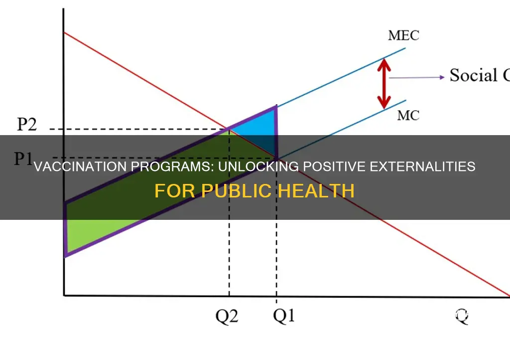 when a vaccination program generates a positive externality the