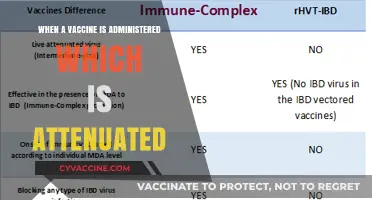 Understanding Attenuated Vaccines: How Weakened Pathogens Boost Immunity Safely
