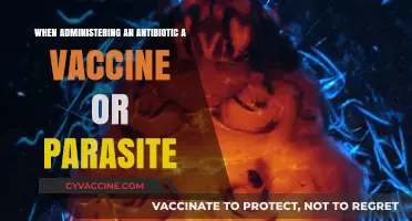 Administering Antibiotics, Vaccines, or Parasite Treatments: Essential Guidelines