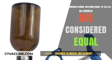 Cattle Vaccination Needle Choice: Are All Options Truly Equal?