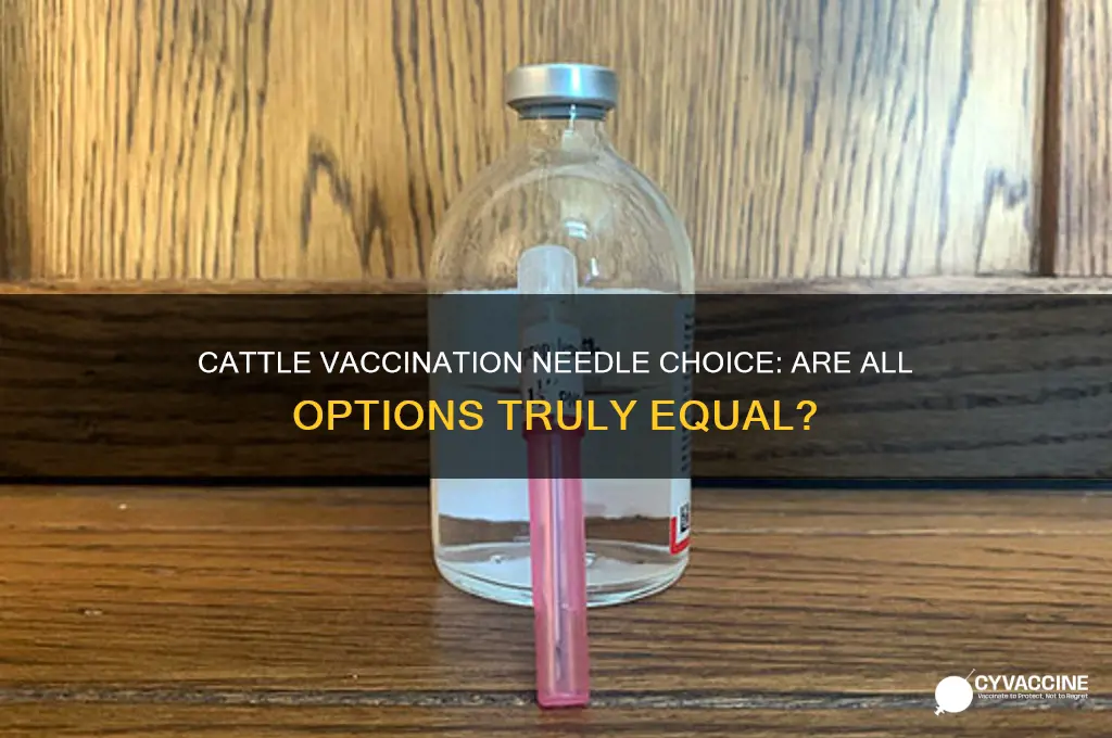 when administering vaccinations to cattle all needles are considered equal