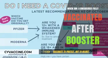 Fully Vaccinated Status: Understanding Post-Booster COVID-19 Protection Timeline