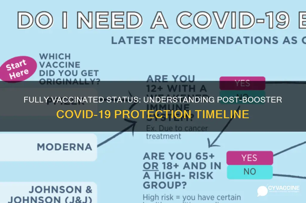 when am i considered fully vaccinated after booster