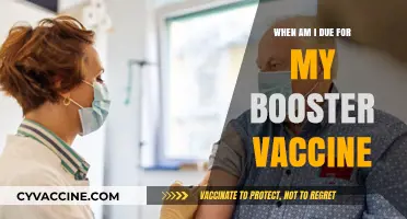 When Is Your Booster Vaccine Due? A Quick Guide