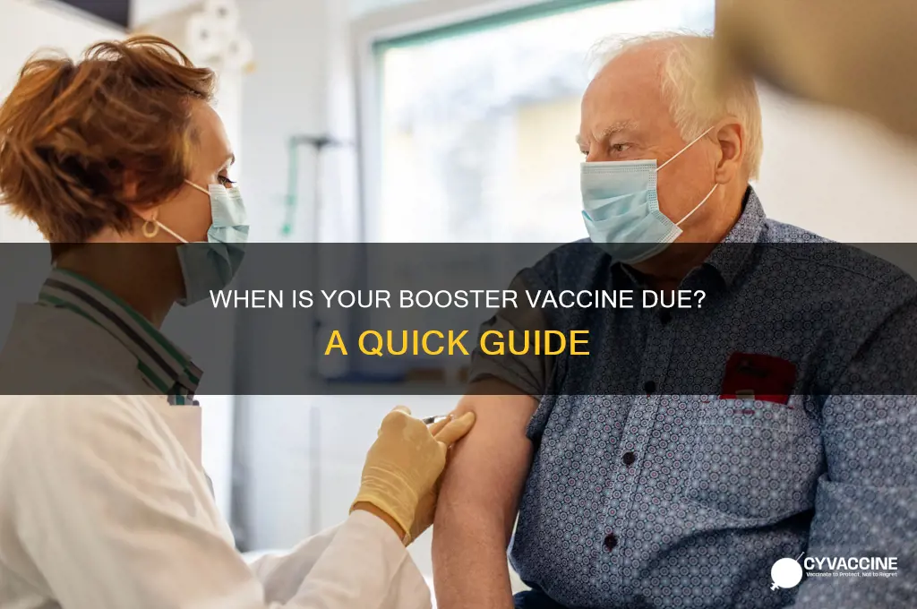 when am i due for my booster vaccine
