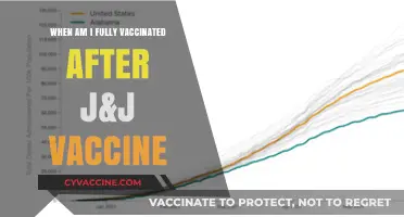 Fully Vaccinated After J&J: Understanding Your COVID-19 Protection Timeline