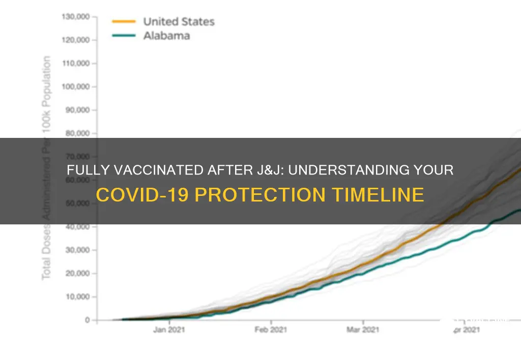 when am i fully vaccinated after j&j vaccine