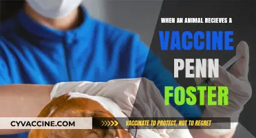 Understanding Animal Vaccinations: Penn Foster's Guide to Pet Health Care