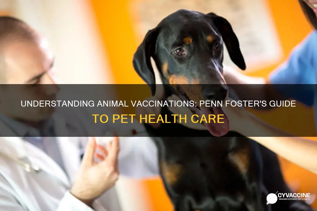when an animal recieves a vaccine penn foster