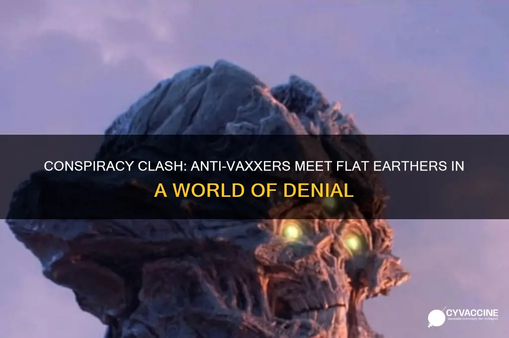 when an anti vaccination meets a flat earther