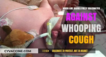 When Are Babies Fully Vaccinated Against Whooping Cough?