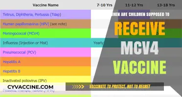 Understanding the Right Time for MCV4 Vaccine in Children
