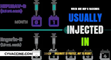 Hepatitis B Vaccination Schedule: When Are the Shots Administered?