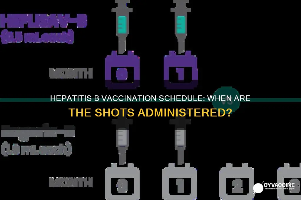 when are hep b vaccines usually injected in