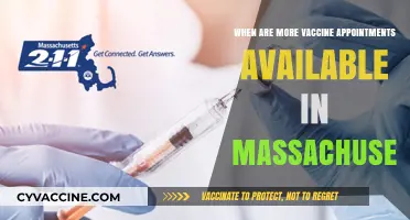 Massachusetts Vaccine Appointments: When to Expect More Availability