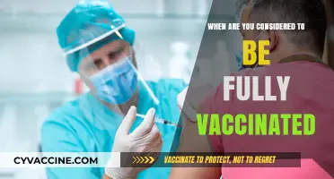 Fully Vaccinated: Understanding the Timeline and Criteria for Protection