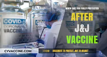 J&J Vaccine Protection Timeline: When Are You Fully Covered?