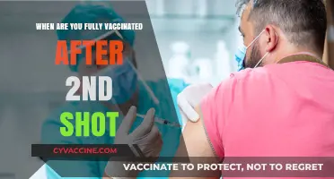 Fully Vaccinated Timeline: When Does Protection Begin After Second Dose?