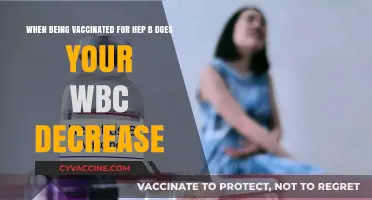 Hep B Vaccination and WBC Count: Does It Cause a Decrease?