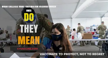 Which Vaccination Records Do Colleges Require? A Clear Guide