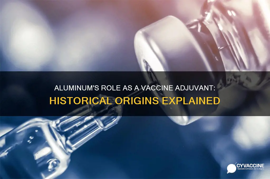 when did aluminum become an adjuvant in vaccines