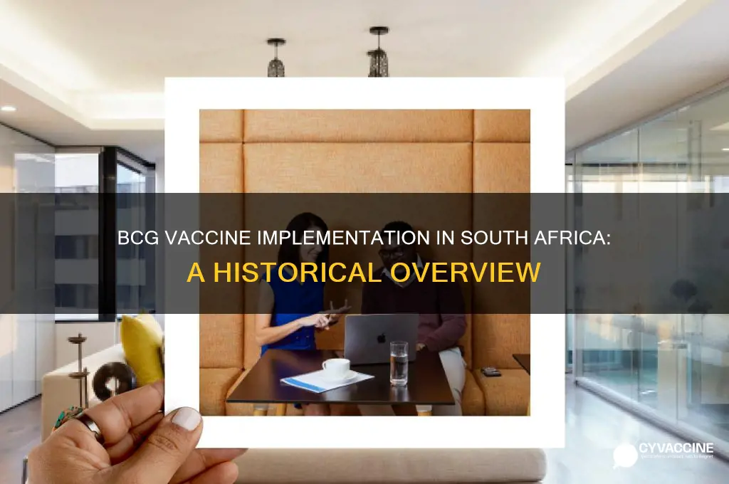 when did bcg vaccine start in south africa