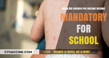 Chickenpox Vaccine: When Did It Become a School Requirement?