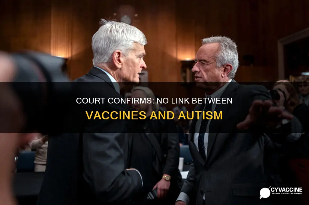 when did court say no connection between vaccines and autism