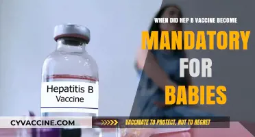 Hepatitis B Vaccine Mandate for Infants: A Historical Overview