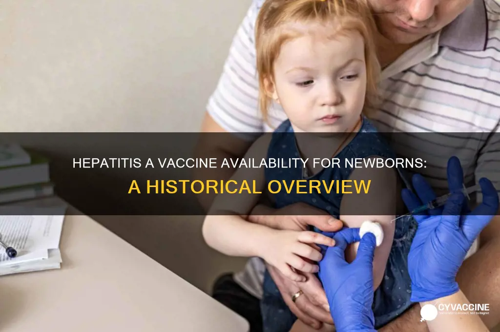 when did hepatitis a vaccine become available for newborns