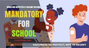 Hepatitis B Vaccine: A School Entry Requirement