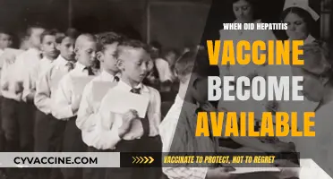 The Evolution of Hepatitis Vaccines: A Historical Timeline