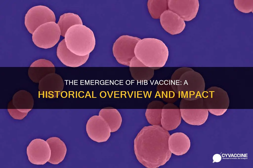 when did hib vaccine come out