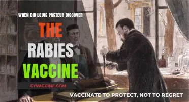 Louis Pasteur's Rabies Vaccine Discovery: A Historical Breakthrough