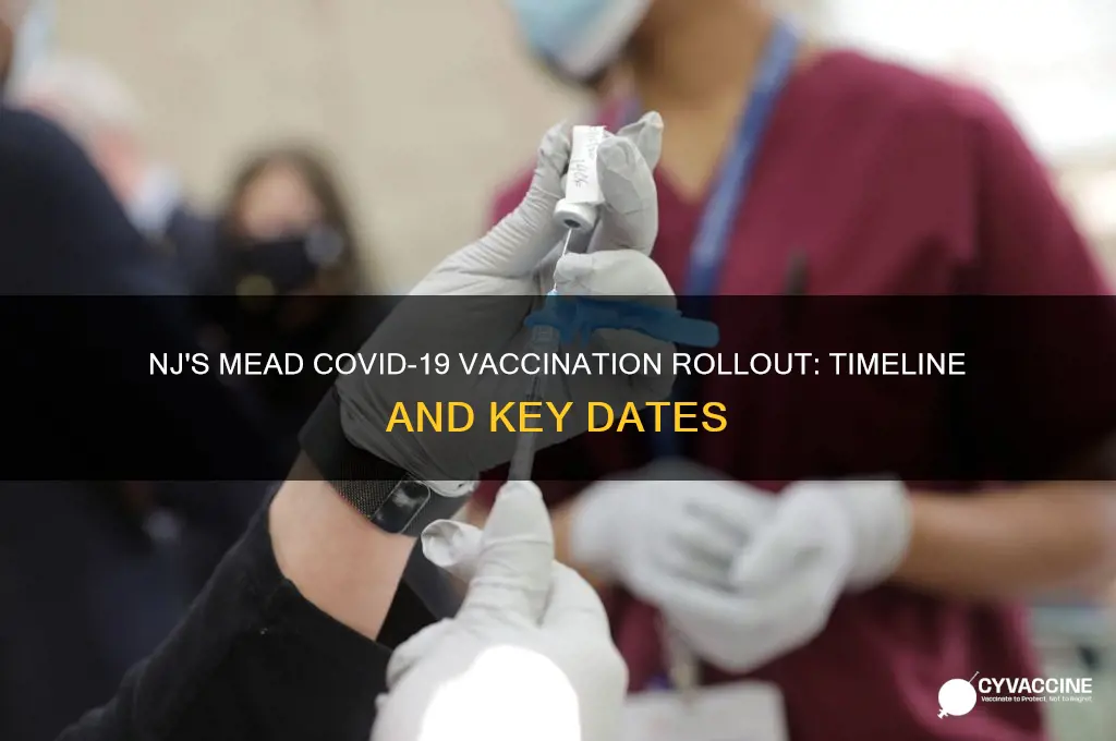 when did mead nj us vaccination come out